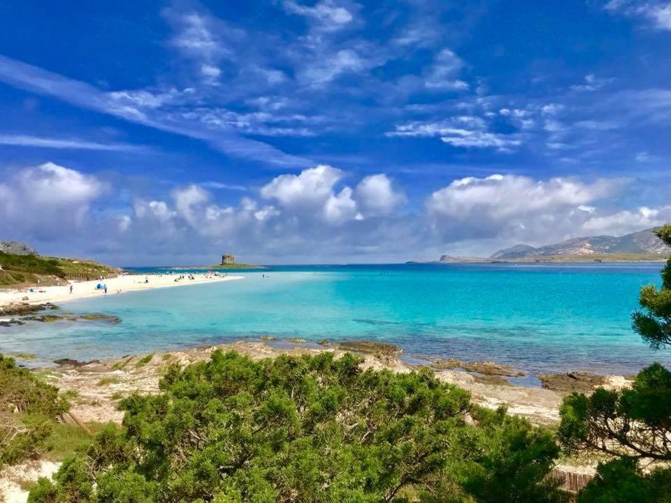Casa A Schiera Le Tonnare - Affitti Brevi Italia Daire Stintino Dış mekan fotoğraf